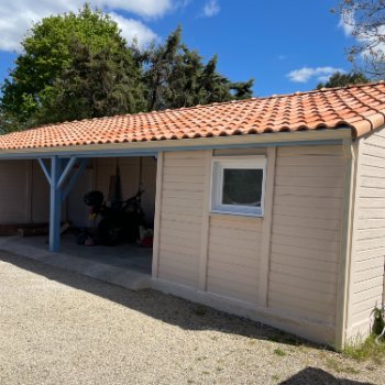 Abri de jardin en béton aspect bois 1 pente avec auvent
